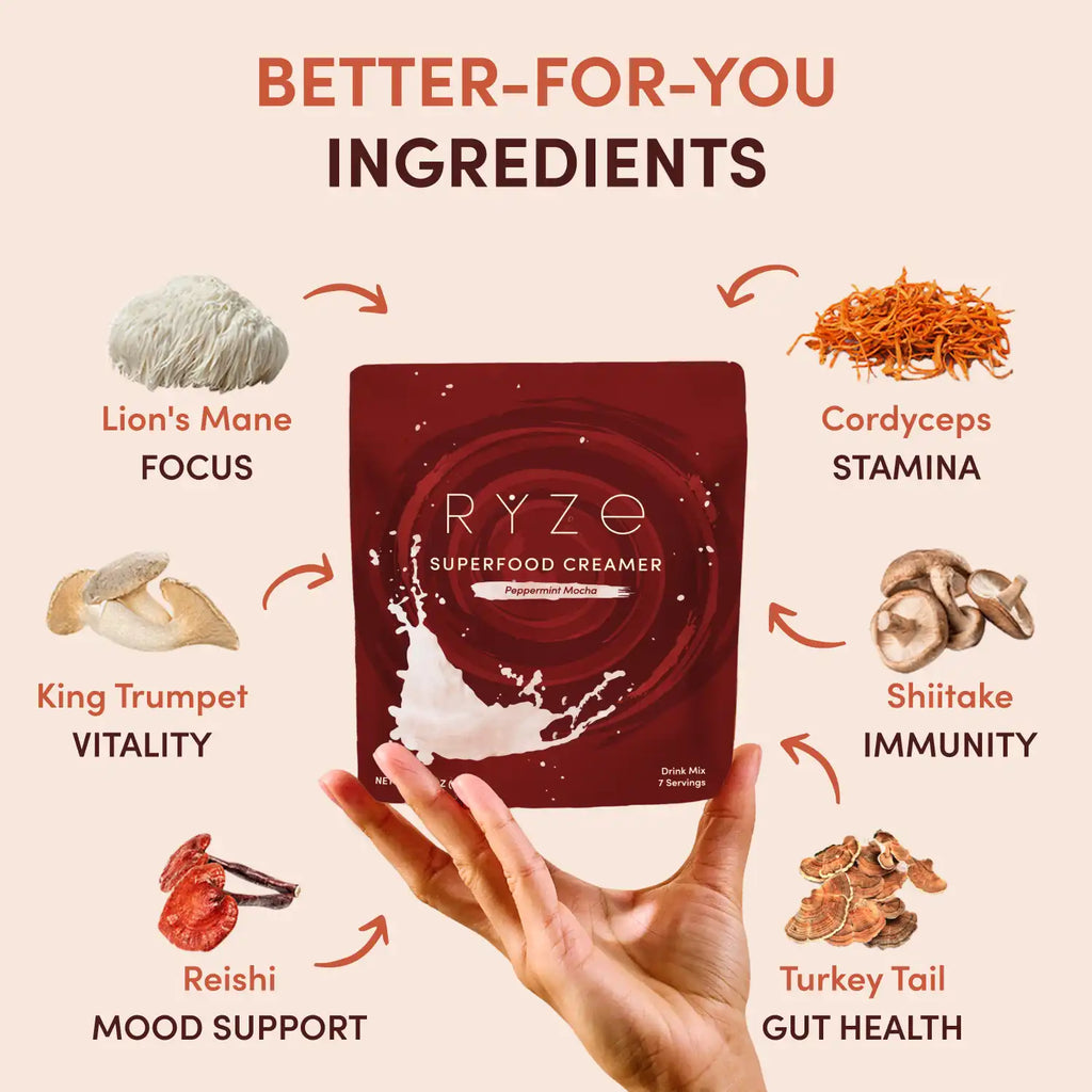 Peppermint Mocha Creamer (14 Servings)