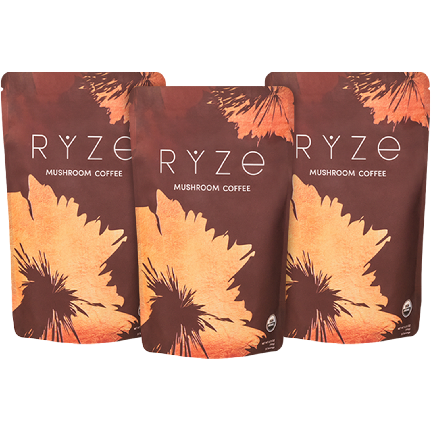 Mushroom Coffee (3 Month Upgrade) Original