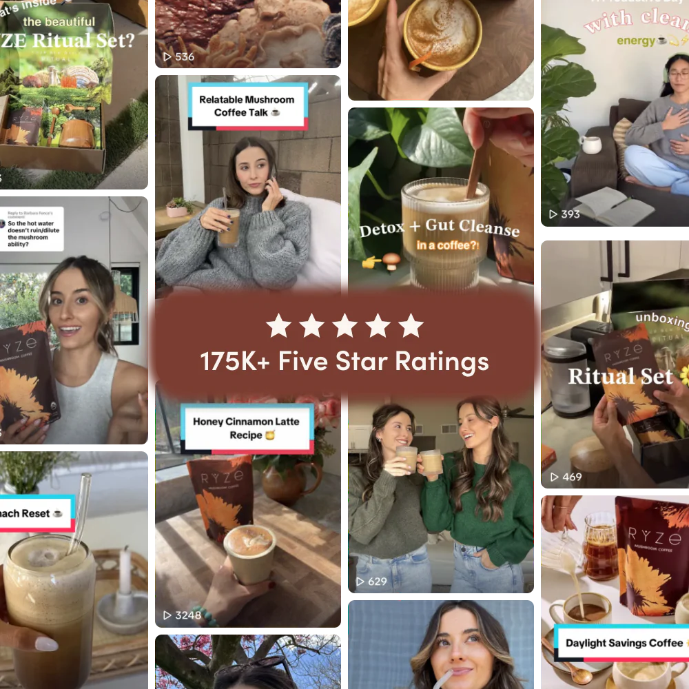 Mushroom Coffee Dark Roast (30 Servings)