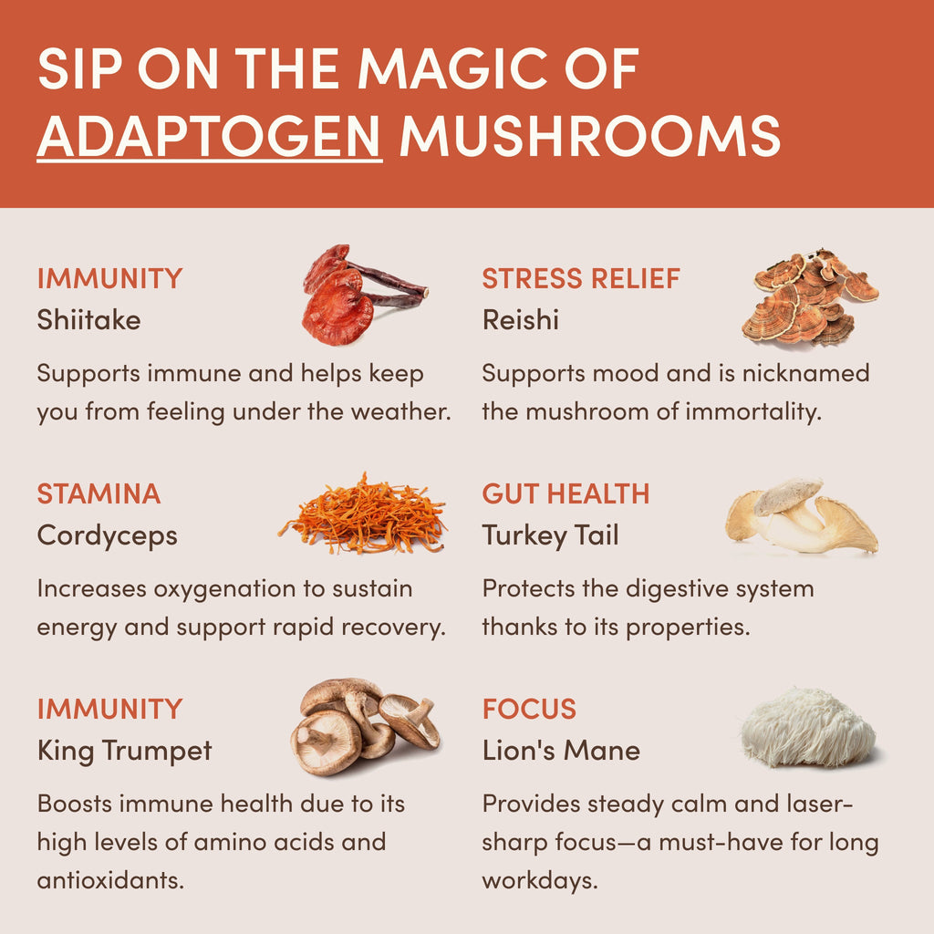 RYZE Ritual Set (Matcha + Coffee) Rebill