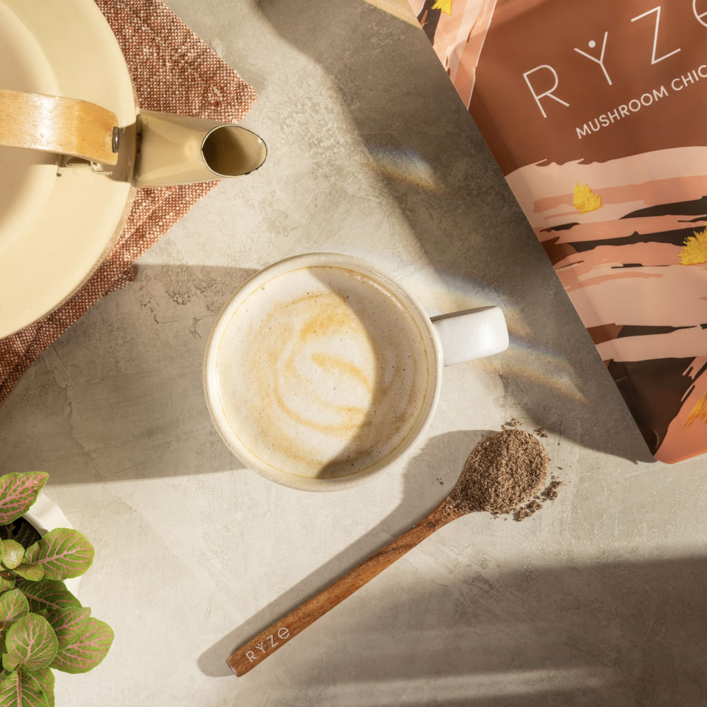 Mushroom Chicory (1 Pack - 30 Servings)