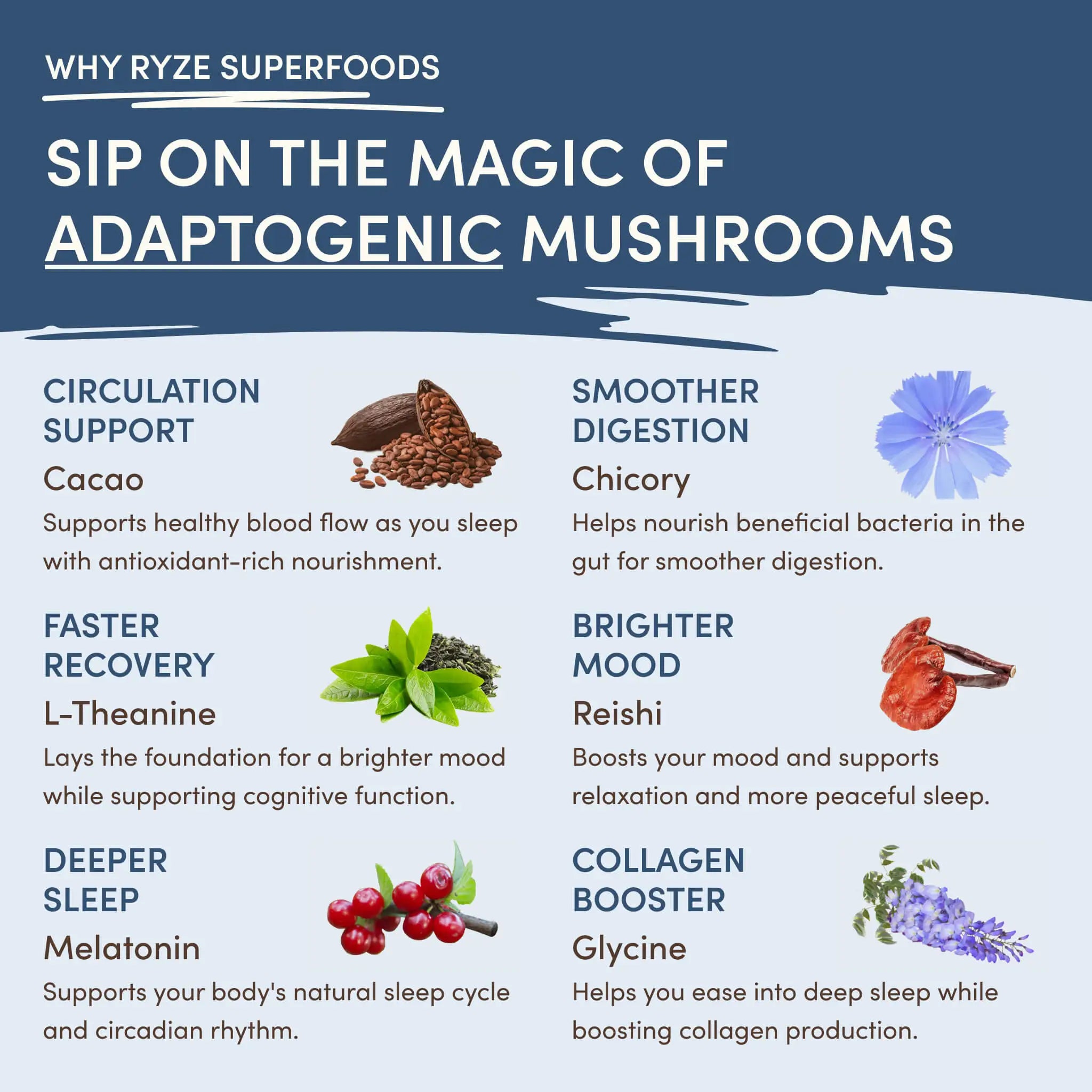 RYZE Ritual Set: Cocoa + Coffee