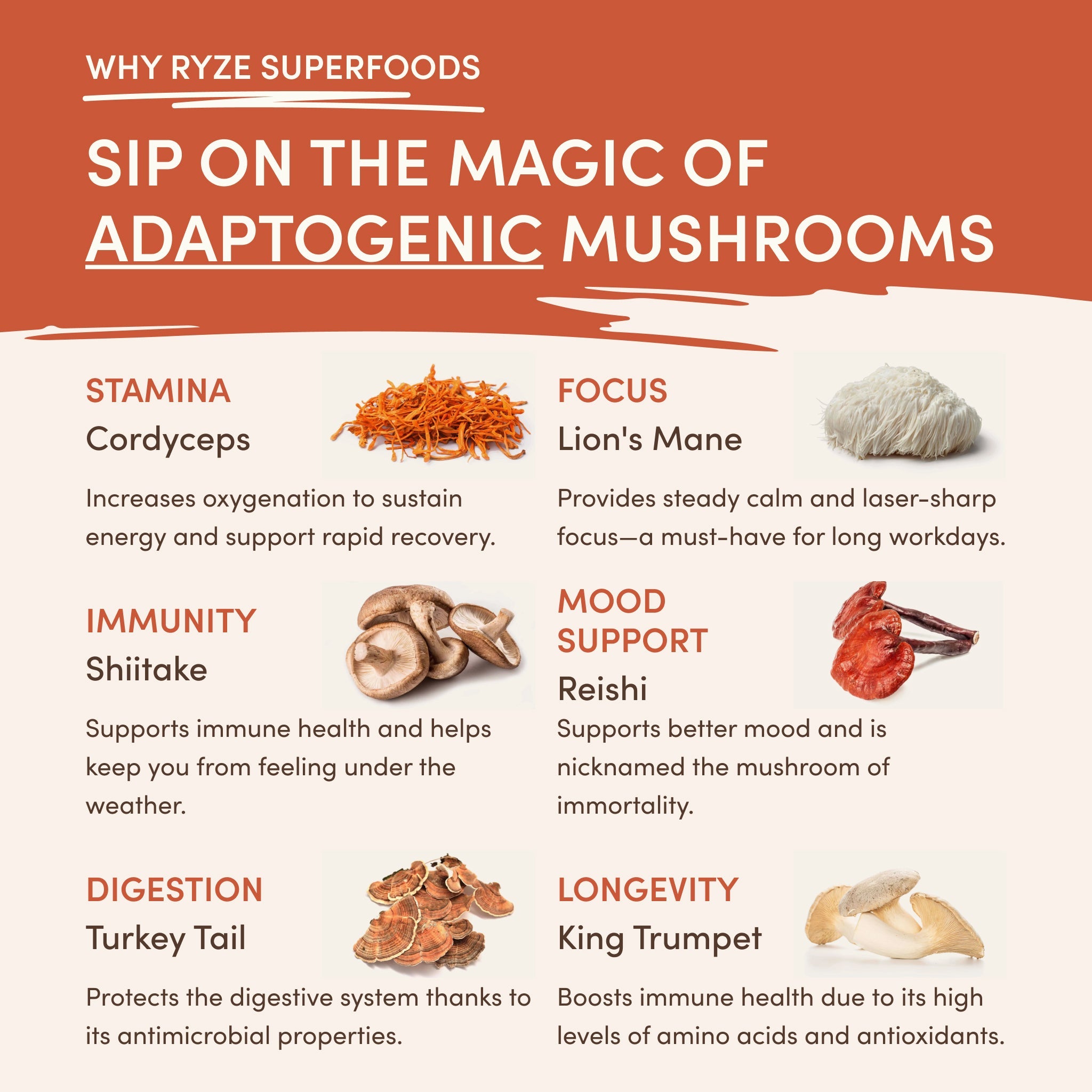 Superfood Creamer (30 Servings)