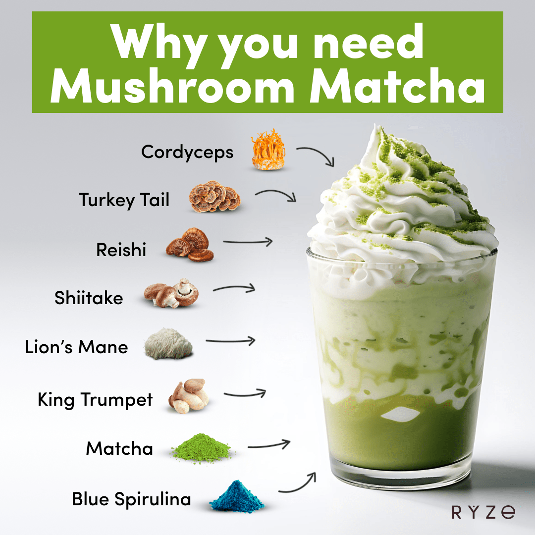 RYZE Mushroom Matcha - with 6 Organic Adaptogenic Mushrooms Grown In USA and Ceremonial-Grade Japanese Matcha